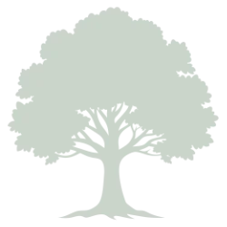 Tree_Light Green